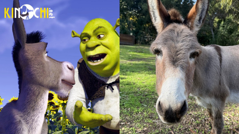 “Shrek” multfilmidagi eshakning prototipi vafot etdi